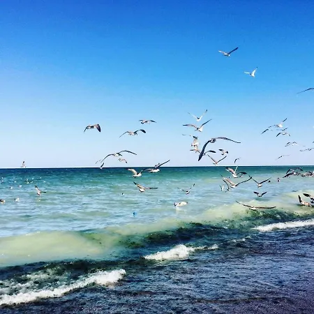 Casa Mura 3* Două Mai