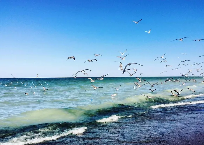 Casa Mura 3* Două Mai