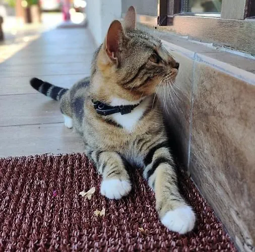 Penzion Casa Mura 3*